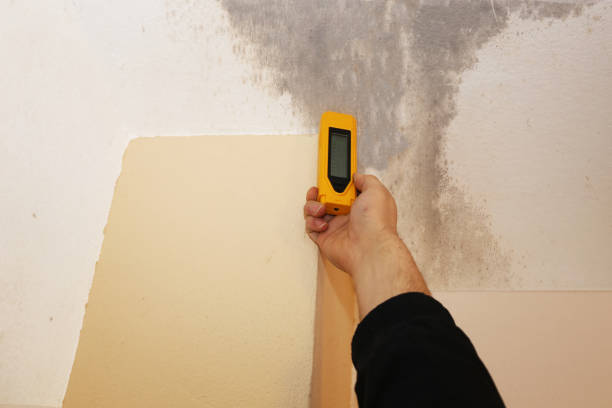 Best Forensic Mold Investigation  in , IA