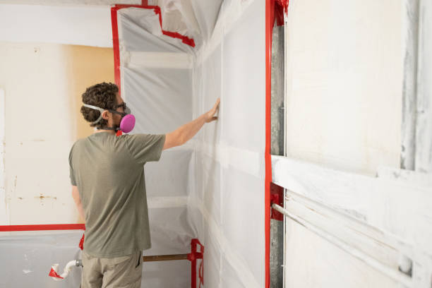 Best Mold Removal for HVAC Installations  in , IA