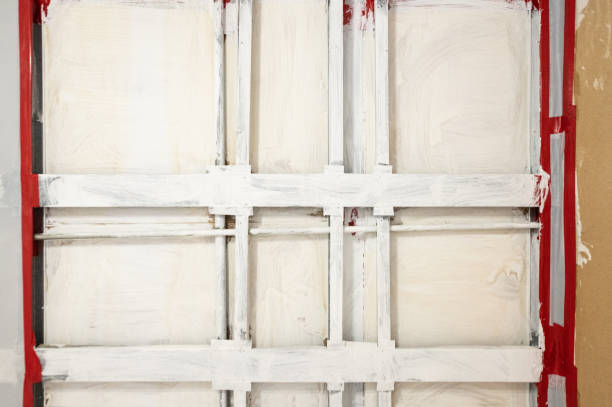 Best Commercial Mold Inspection  in , IA