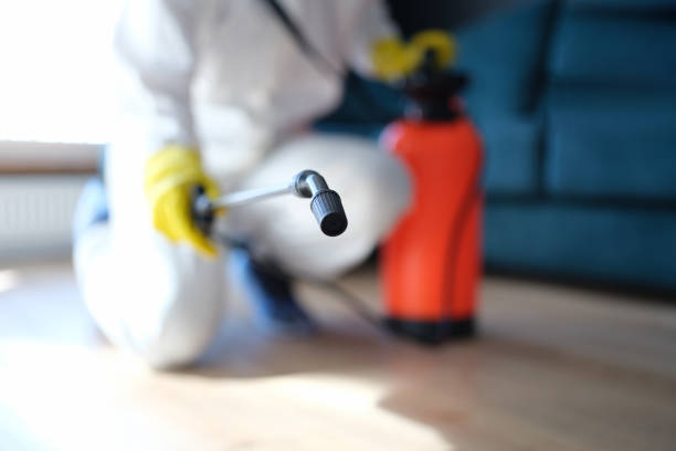  , IA Mold Removal Pros