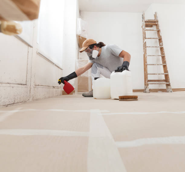Best Industrial Mold Remediation  in , IA