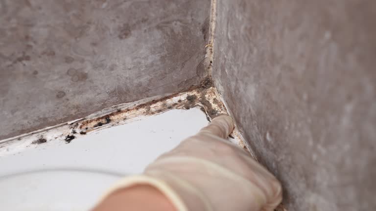 Best Comprehensive Air Testing for Mold Contaminants  in , IA