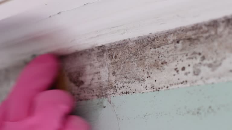 Best Air Quality Testing for Mold Spores  in , IA